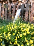 IMG-20190416-WA0011